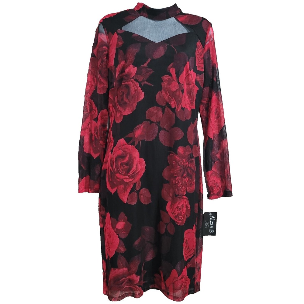 VTG Alexa B Nites Dark Romantic Dress Size 10 Sheer Mesh Roses Whimsigoth Lined - Picture 2 of 12